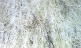 Ultra light Ghillie Blanket 5' x 9'| Blanket Color