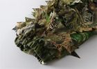 Titan 3D Leafy Blind Cover| Pattern| Country DNA