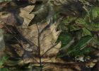 Titan 3D Leafy Blind Cover| Pattern| Country DNA