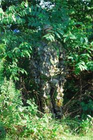 Titan 3D Leafy Blind Cover| Pattern| Country DNA (Option: 5' x 16')