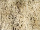 Ultra light Ghillie Blanket 5' x 9'| Blanket Color