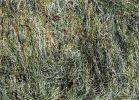 Ultra light Ghillie Blanket 5' x 9'| Blanket Color