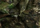 Titan 3D Leafy Suit in Mossy Oak Patterns| Country DNA