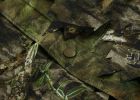 Titan 3D Leafy Suit in Mossy Oak Patterns| Country DNA