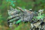 Titan 3D Leafy Blind Cover| Pattern| Obsession-NWTF