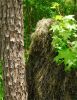 Ultra-Light Ghillie BDU Jacket| Ghillie color| Mossy;BDU pattern| Digital Woodland