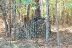 Titan 3D Leafy Blind Cover| Pattern| Timber